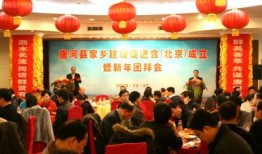 唐河近两天爆料新闻,揭秘背后真相与影响